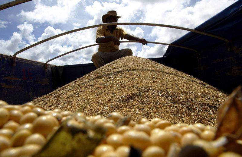 Motorista vê caminhão sendo carregado com soja em Mato Grosso