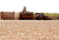 Venda de etanol cai 30% em outubro e atinge menor patamar desde início da pandemia