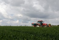 Com alta nos custos de produção, governo atualiza tabela de preço mínimo da agricultura