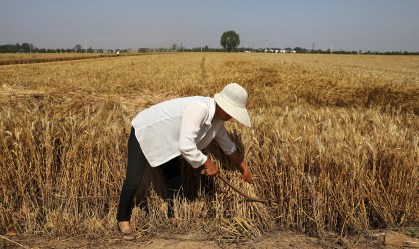 Entenda por que um alerta sobre abastecimento de alimentos causou pânico na China