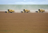 Conexão Agro: Agronegócio bate recorde de exportação em outubro