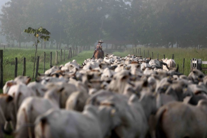 Avaliação feita no Ministério da Agricultura é de que uma suspensão da carne brasileira neste momento é pouco provável / REUTERS/Pilar Olivares