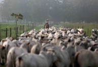 Preço da carne vai ficar ainda mais pressionado com guerra, diz especialista