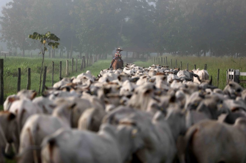 Avaliação feita no Ministério da Agricultura é de que uma suspensão da carne brasileira neste momento é pouco provável / REUTERS/Pilar Olivares