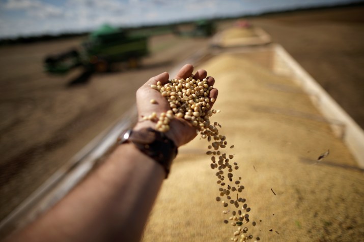 Setor do Agronegócio / Reuters