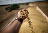 PIB do agronegócio brasileiro tem crescimento de 8,3% em 2021