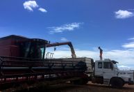 Exportações do agronegócio do Brasil atingem US$ 8,36 bi em novembro