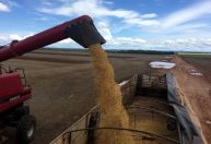 Exportações do agronegócio do Brasil somam US$ 120,6 bi em 2021 e batem recorde