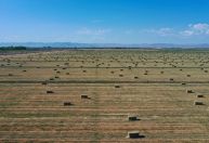 Pagamentos de seguros a plantações disparam com efeitos de mudanças climáticas