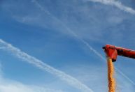 Exportações agrícolas dos EUA devem avançar para recorde de US$ 183,5 bi em 2022