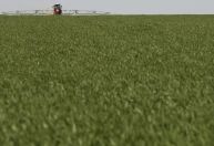 Rússia mantém envio de fertilizantes para o Brasil apesar da guerra, diz Ministério da Agricultura