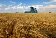 Valor de produção agropecuária estimado para 2022 é de R$ 1,2 tri, diz Ministério