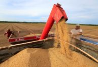 Confiança do agronegócio cai no 2º trimestre com cena econômica, revela índice da Fiesp