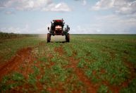 Entregas de fertilizantes passam a cair no Brasil no acumulado do ano, aponta Anda