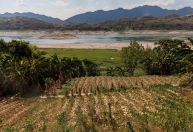 Onda de calor na China afeta setor energético e agropecuária, dizem autoridades