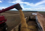 Exportações do agronegócio em setembro batem recorde para o mês com US$ 13,97 bi