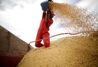 Conab eleva previsão de safra de soja do Brasil e projeção de área para plantio
