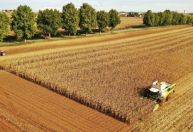 Valor Bruto da Produção Agropecuária do Brasil deve crescer 3% em 2023, diz governo