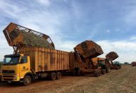 Manutenção de isenção tributária preocupa mercado de etanol, mostra levantamento