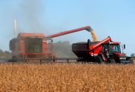 Vendas de soja na Argentina têm maior nível em 2 meses com câmbio preferencial