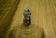 Nos EUA, esterco é “commodity quente” em meio à escassez de fertilizantes