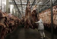 Receita de exportação de carne bovina do Brasil sobe 42% em 2022; Abrafrigo prevê piora em 2023