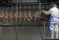 Indústrias de carnes bovina e de frango do Brasil projetam novos recordes em 2025