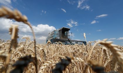 Área plantada de trigo no Brasil deve crescer 6,1% em 2023, prevê StoneX
