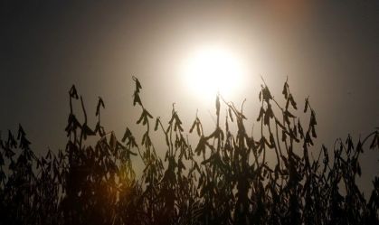 BrasilAgro e TIM fecham parceria para levar 4G ao Maranhão