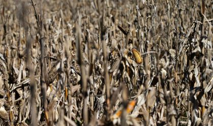 Argentina oficializa corte de imposto sobre exportação de grãos e alimentos