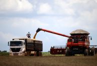 Com setor em dificuldade, governo vai investir R$ 4,7 bi em corredores do agro em 2024