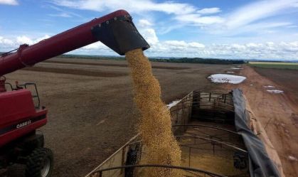 Recuperações judiciais saltam no agronegócio em 2023, aponta Serasa Experian