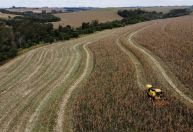 Exportações do agronegócio crescem 1,2% em julho e batem recorde para o mês