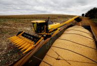 Queda menor do Agro no PIB do 2º tri surpreende e mostra setor forte, dizem economistas