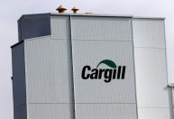 Cargill projeta maiores volumes no Brasil em 2025 após prejuízo