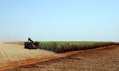 Declaração do Imposto Territorial Rural deve ser entregue até esta sexta (29); saiba como enviar