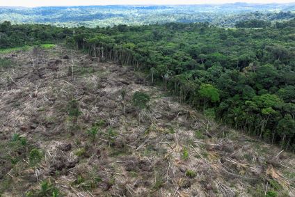 Desmatamento diminui na Amazônia e cresce no Cerrado