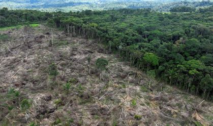 Desmatamento cai 51,1% na Amazônia, diz Ministério do Meio Ambiente