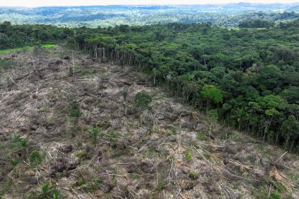 Desmatamento diminui na Amazônia e cresce no Cerrado