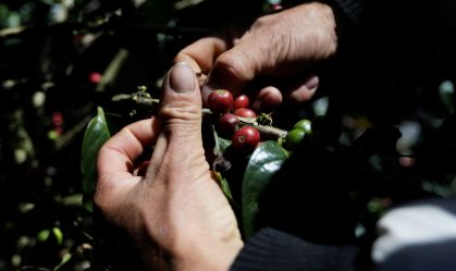 Preços ao produtor no Brasil sobem 0,66% em setembro em 8ª alta seguida