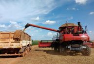 PRISCILA YAZBEK: Os impactos da China no PIB do Brasil e as dúvidas sobre o agro para 2024