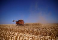 Inadimplência do produtor rural aumenta para 7,6% em 2024, aponta Serasa