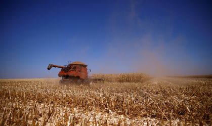 Brasil e China vão trocar alertas sobre pragas e doenças em alimentos