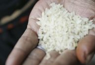 CNA entra com ação no STF contra importação de arroz pelo governo