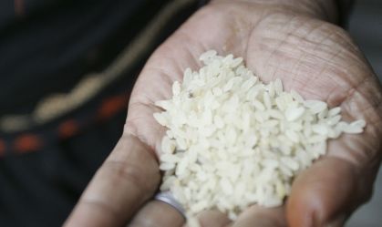 Colheita da safra 2023/24 de arroz no RS tem queda de 1% ante 2022/23, diz Irga