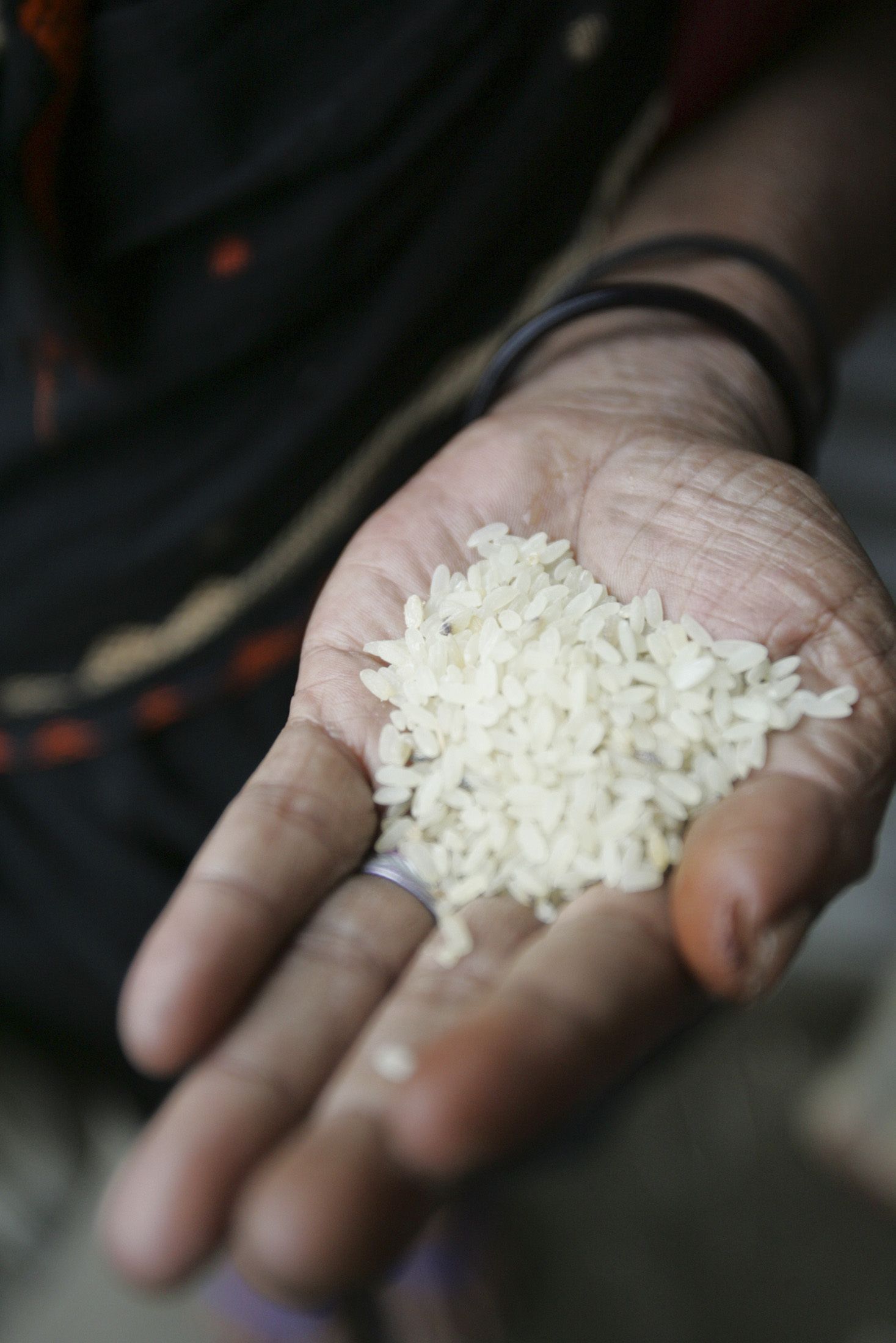 Punhado de arroz