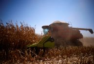 LDO protege isenções ao seguro rural de contingenciamento; veja lista completa