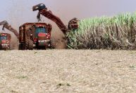 Exportação do agro paulista à China cresce 16,7% e bate US$ 6,8 bi em 2025