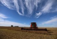 Argentina zera impostos de exportação sobre grãos e derivados até outubro