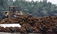 Indonésia pede à UE que elimine tarifas sobre biodiesel após decisão da OMC